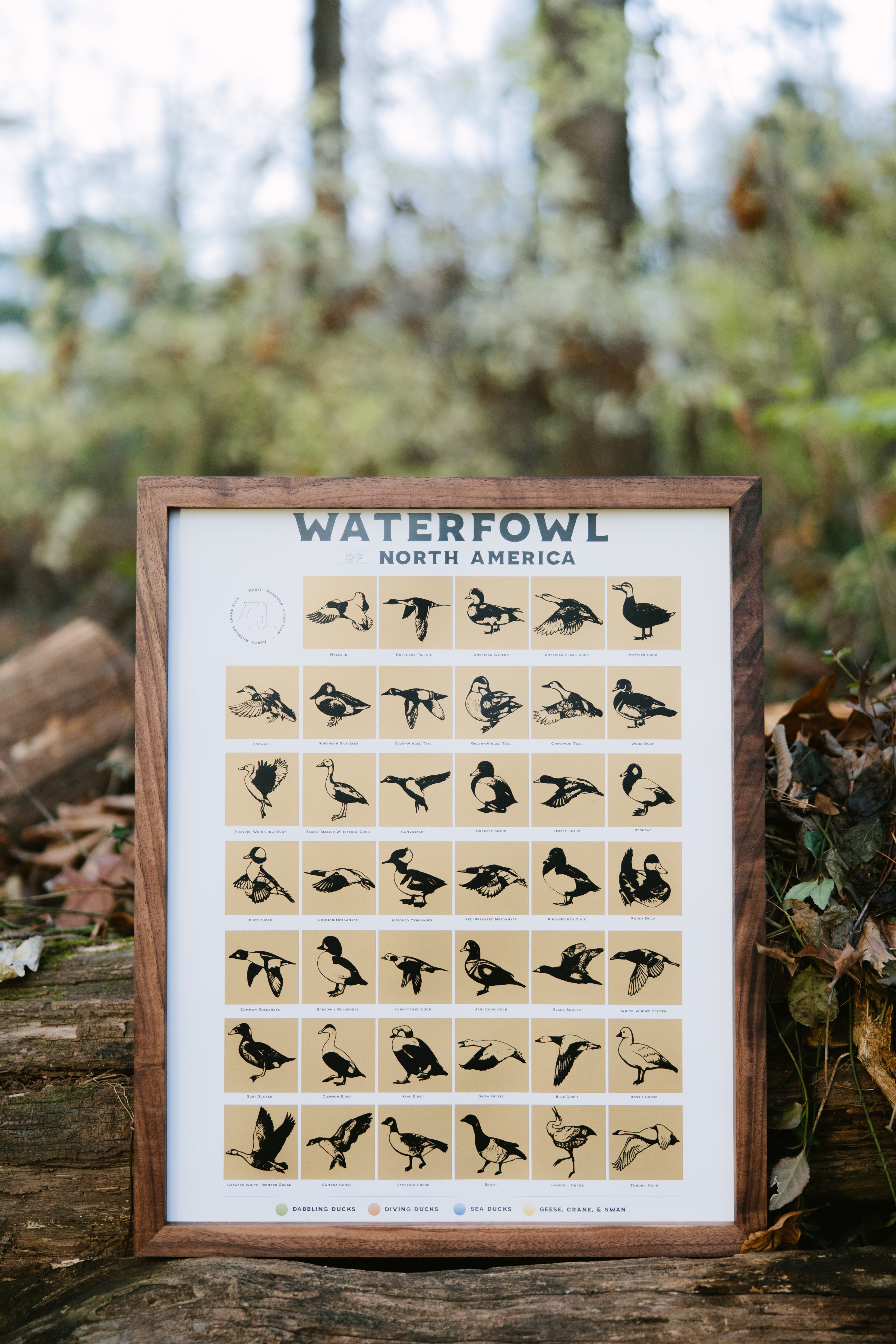 Framed North American Waterfowl scratch-off print displayed outdoors against a log with forest scenery in the background.