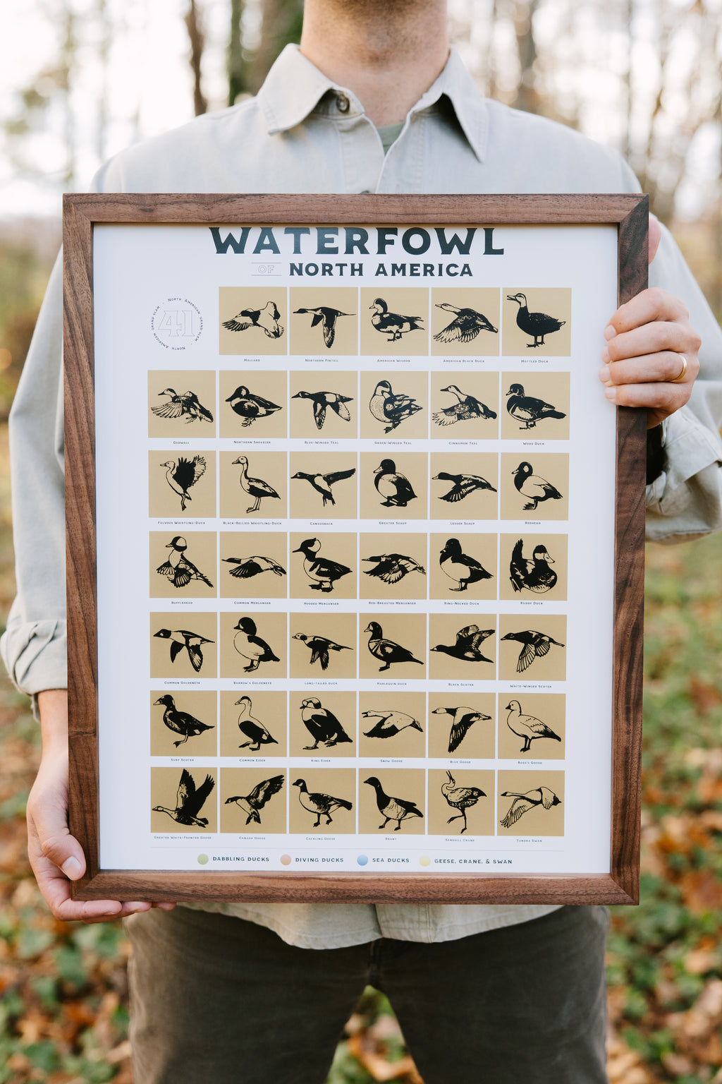 North American Waterfowl scratch-off print featuring illustrated species squares on a tan background.