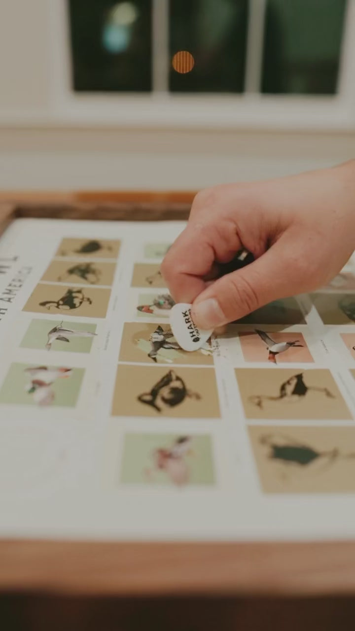Video thumbnail showing a hand scratching off a species square on the North American Waterfowl scratch-off print.